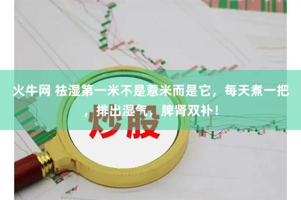 火牛网 祛湿第一米不是薏米而是它，每天煮一把，排出湿气，脾肾双补！