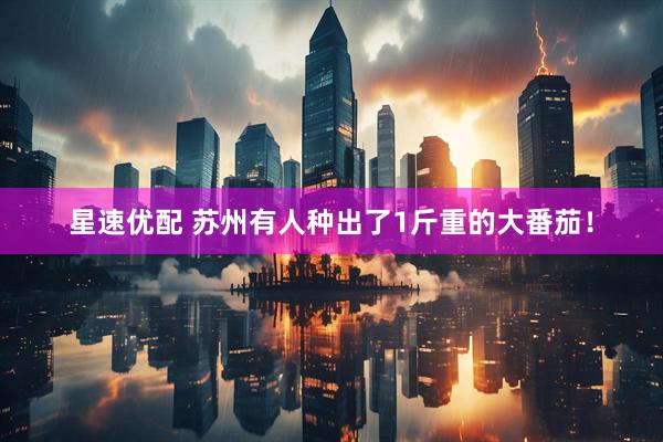 星速优配 苏州有人种出了1斤重的大番茄！