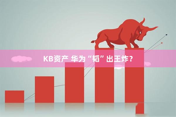 KB资产 华为“韬”出王炸？